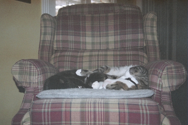 sleepingitoff
