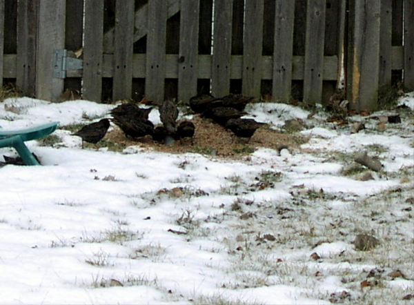 705-Picture002