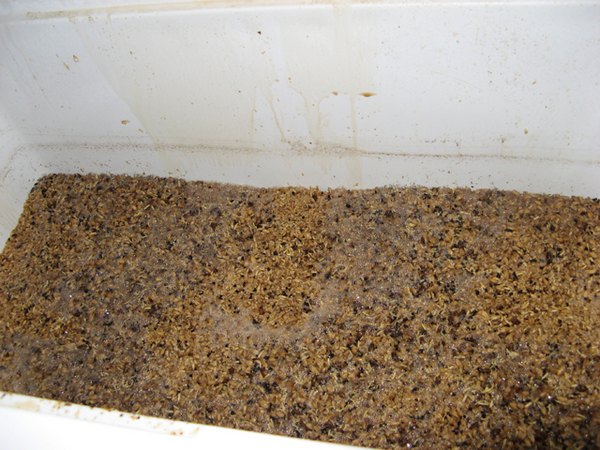 Afterstrikebeforesparge