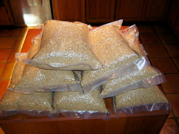 55ofPaleinFoodSaverBags