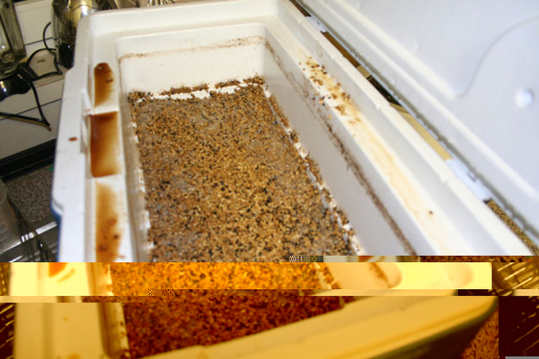 Drainedgrainbed