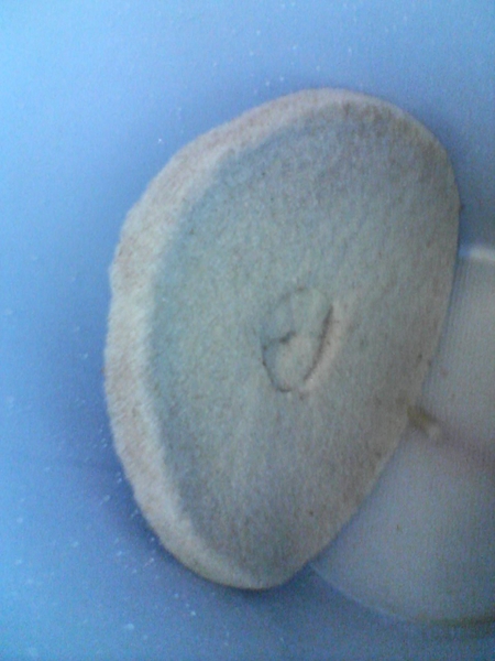 MashTunfilter