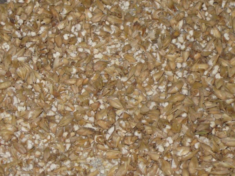 grain pictures 004.jpg grain pictures 004.jpg