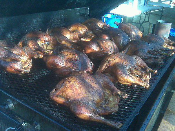 turkeys.jpg