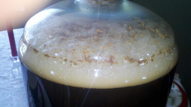 Black ipa day 14 hours after pitching.jpg