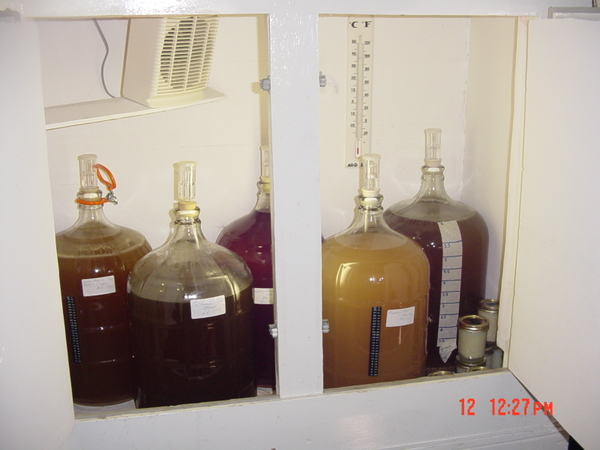 leftcidermeadwinemeadspicedcider