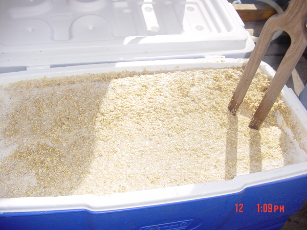 afullmashtunisabettermashtun