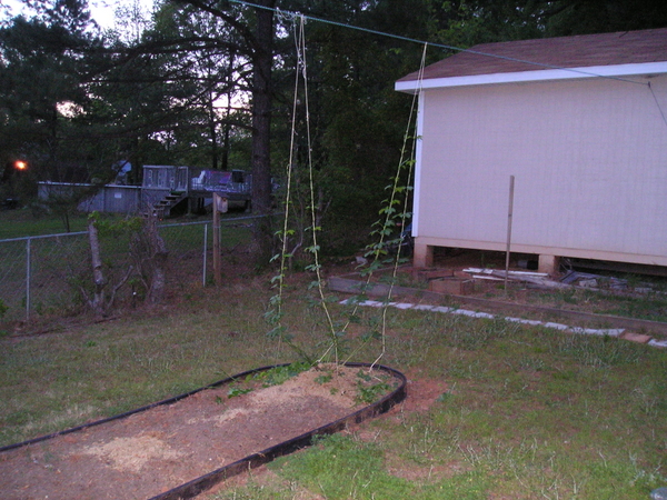 1332-Cascade425
