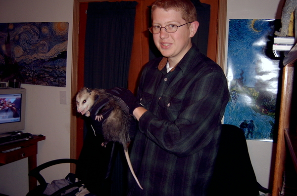 Opposum
