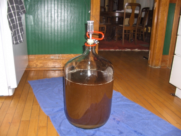 Bugsfirstbrew
