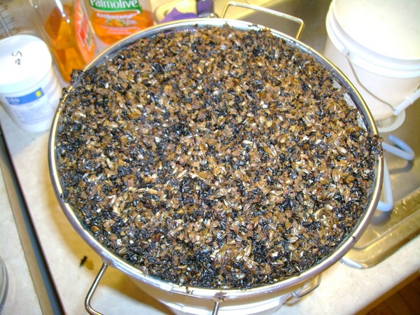 firstbrewday