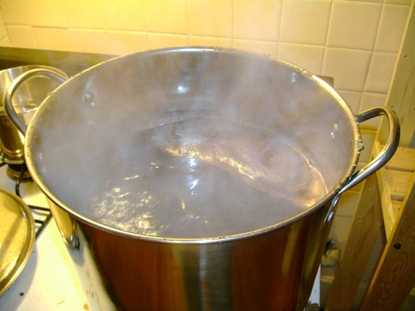 firstbrewday