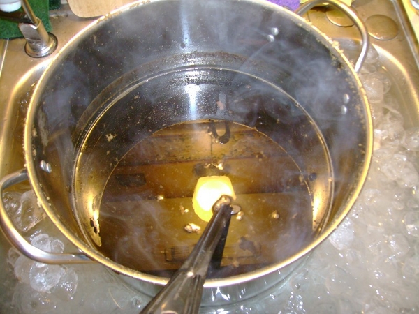 firstbrewday