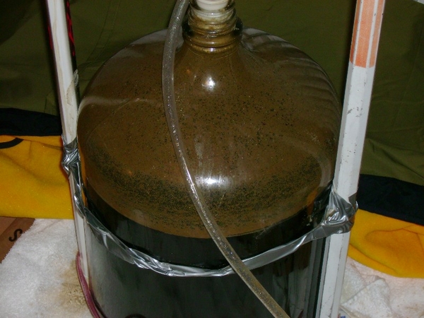 firstbatch