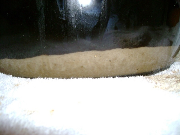 firstbatch
