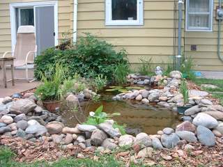Wholepond