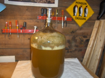 Kolsch
