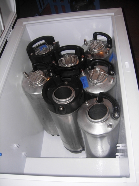 7674-kegsInFreezer1b