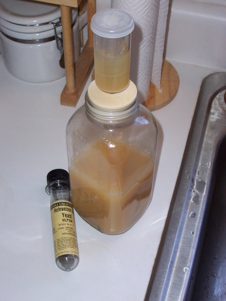 yeaststarteraftertwodays