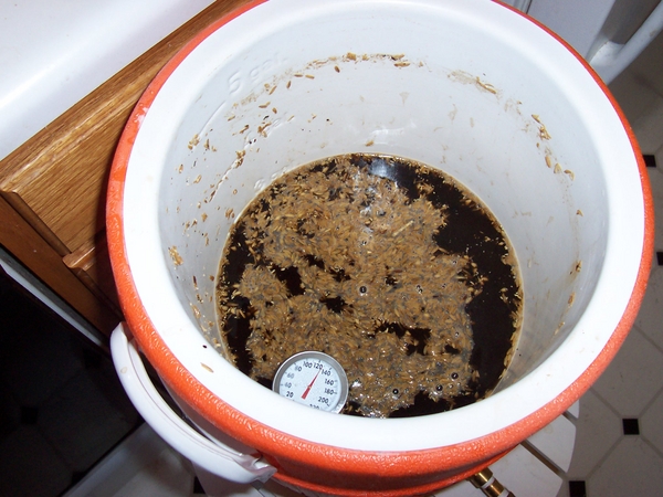 mainmashduringproteinrestafterpullingpartfordecoction