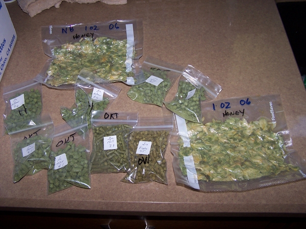 Mmmmmhops