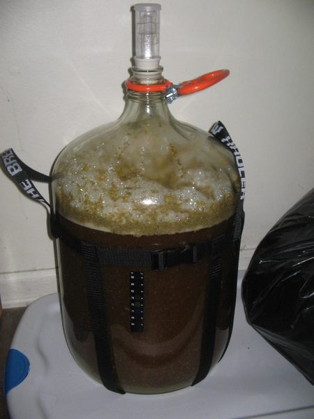 KolschFermenting