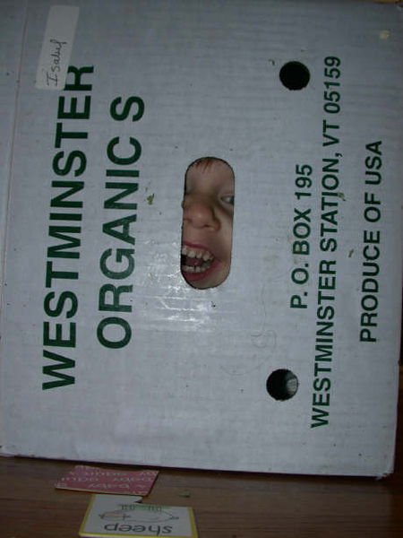 GoOrganic