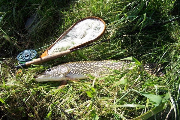 GrandRiverPike