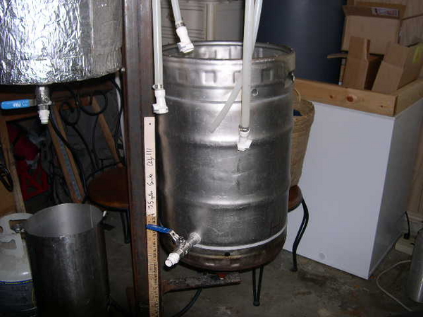 6533-Boilkettle