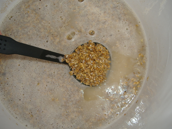 Pullingfromthemash
