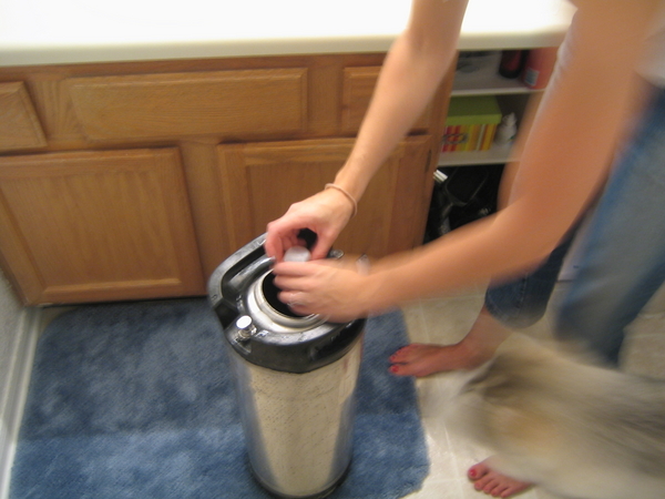 Christymakinggingerale