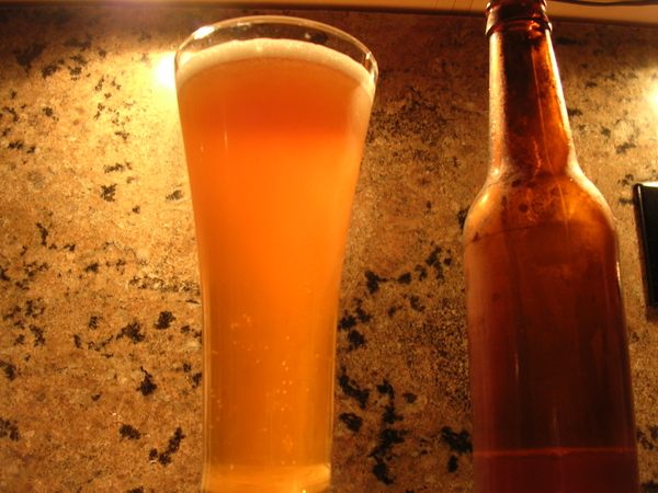 HoneyDoBlondeAle-firstedition