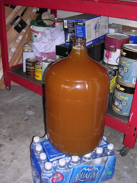 NoneofYourBeeswaxAPArackedtosecondary