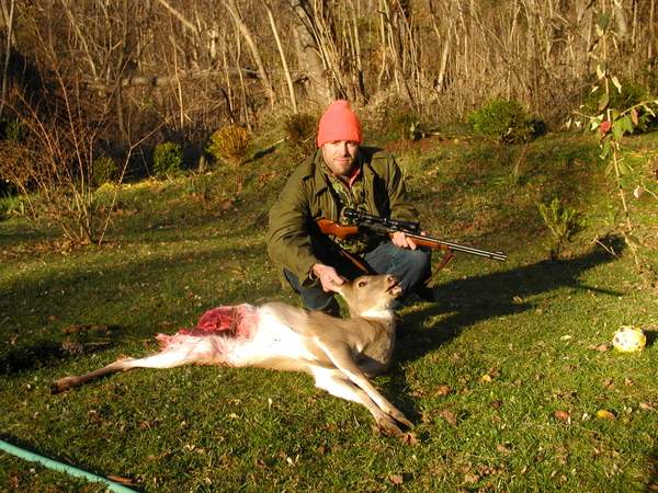 4914-deer