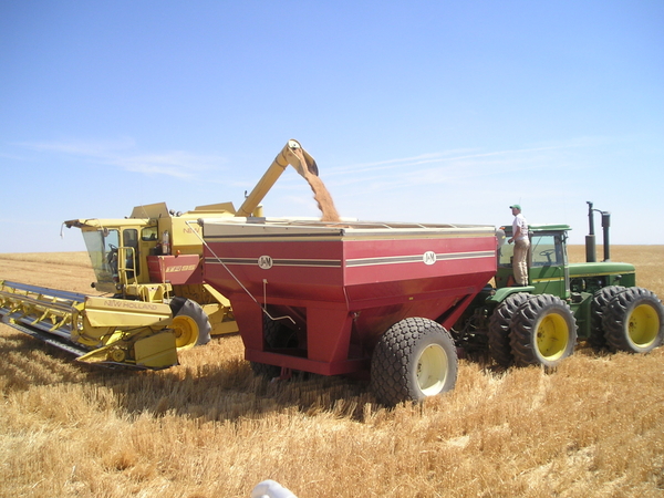 makingbarley