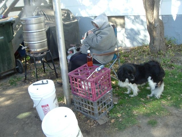 brewingday
