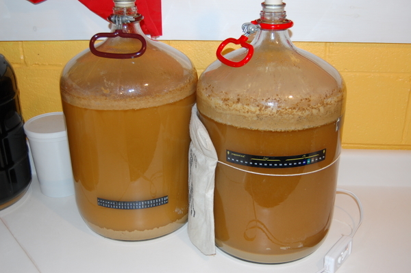 tripeltwins