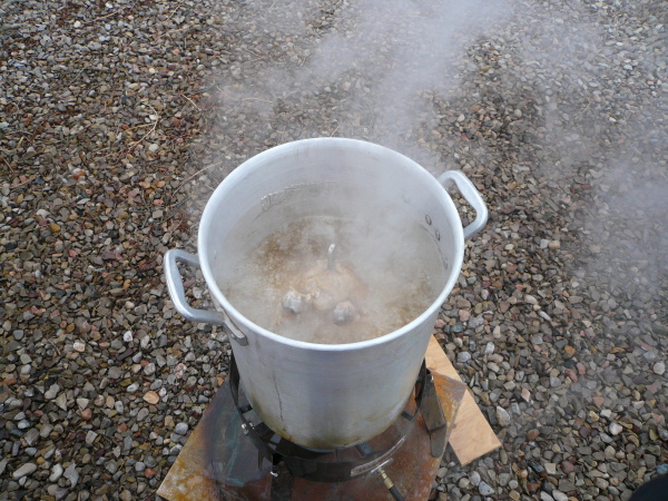 FriedTurkey2007