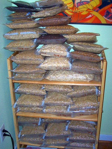 5923-grainpile