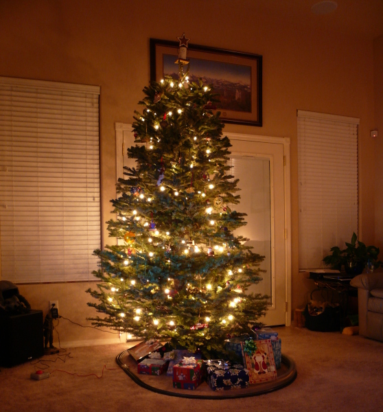Christmas2007