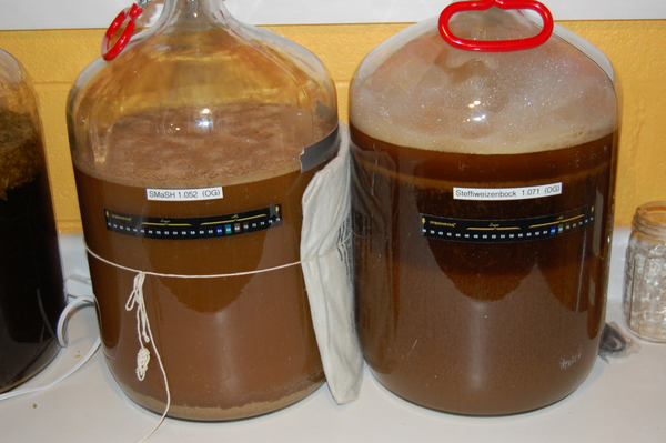 4914-newbatches