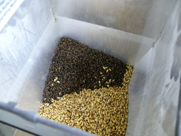 RIS-888Brewed01-01-08