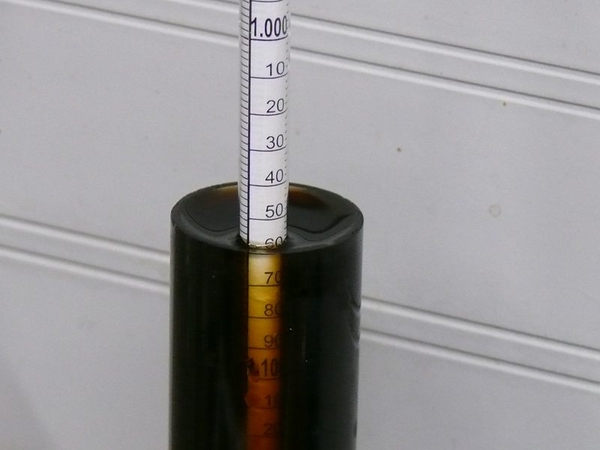 RIS-888Brewed01-01-08PreBoilGravity8gallons