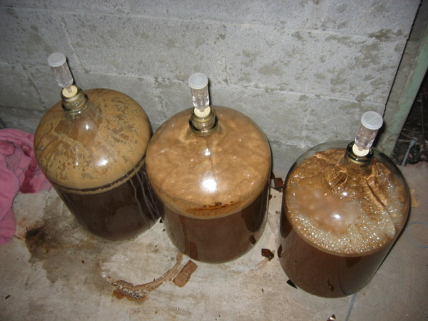 tresfermentations