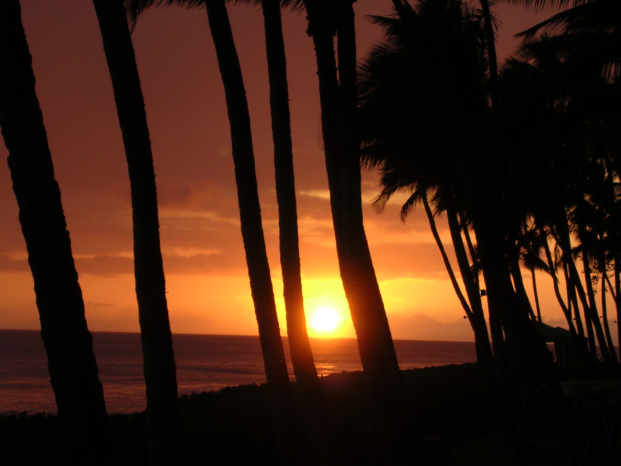 MauiSunset