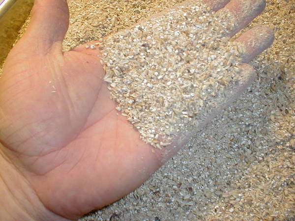 grains_close_up