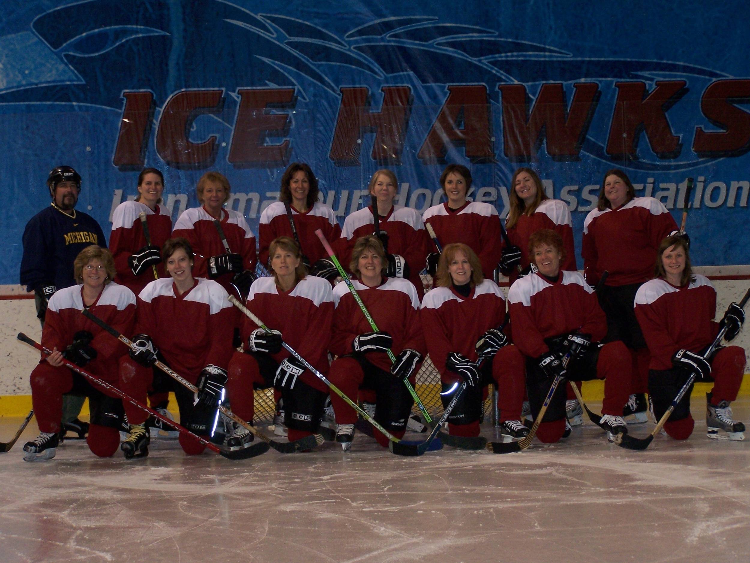 LadyIceHawks2007-2008