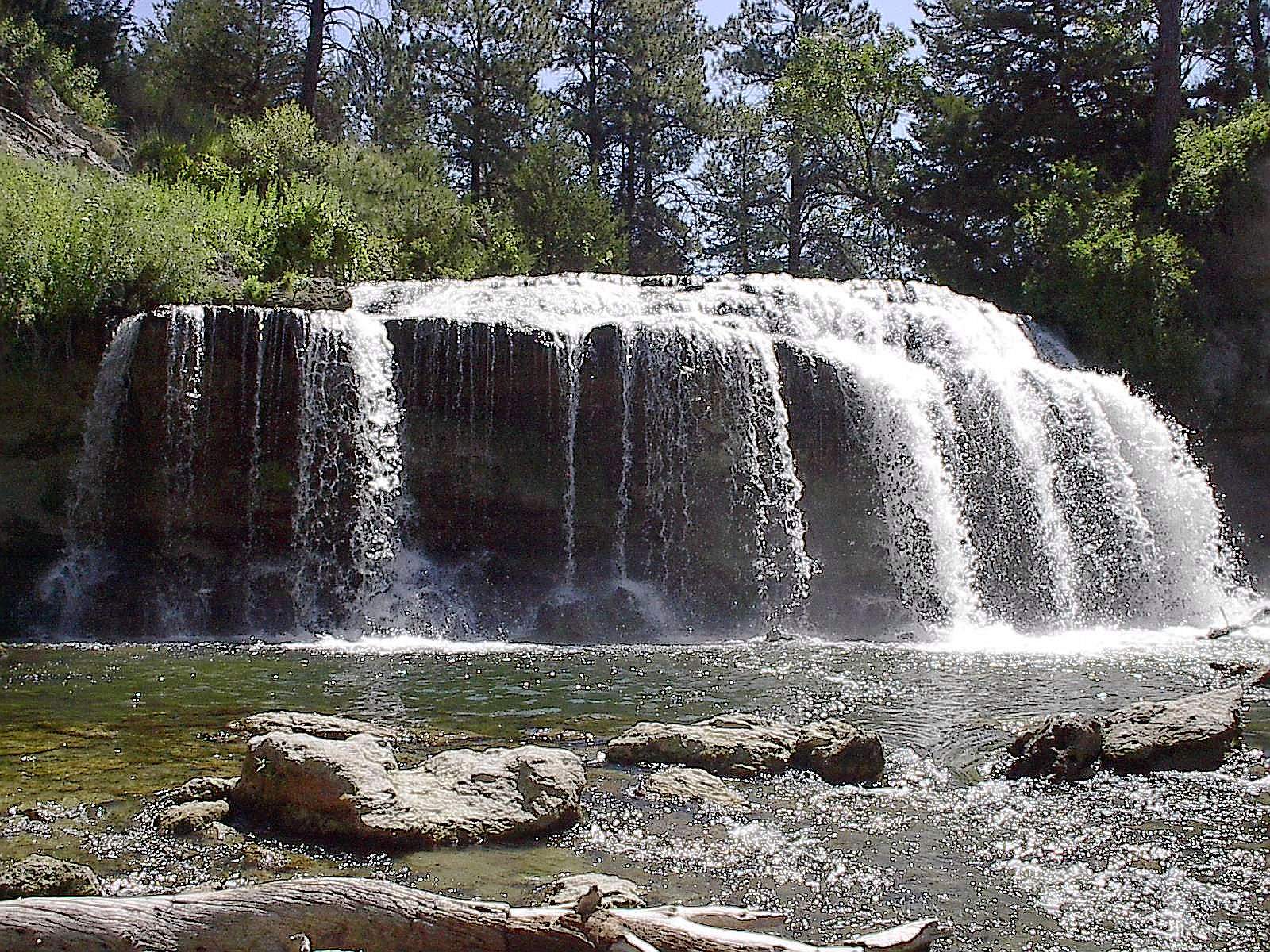 SnakeFalls