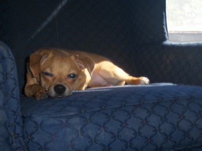 Charlie