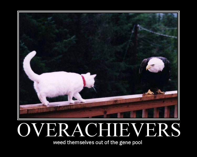 motivator8389211